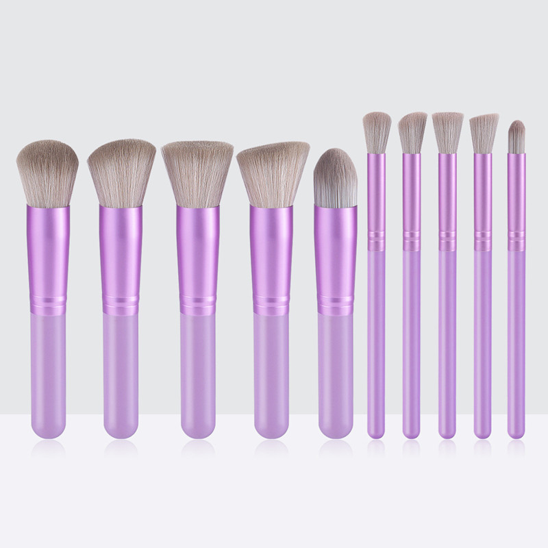 10-teiliges Mini-Make-up-Pinse – Group Head Brush Bewertung und Preis